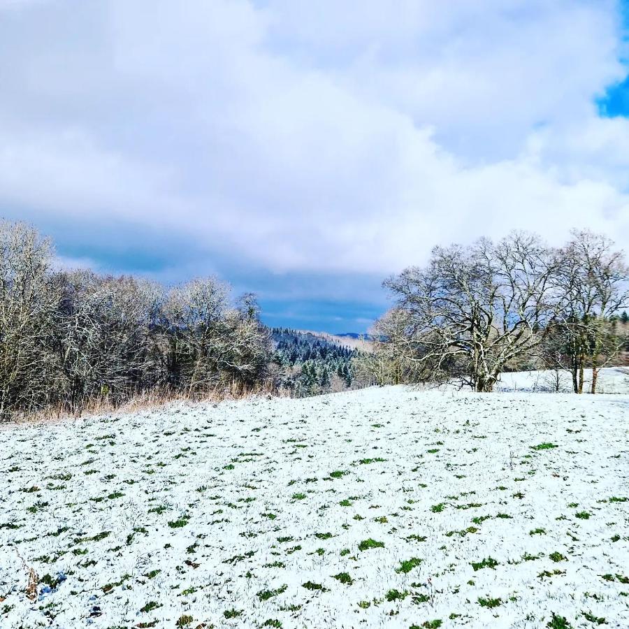 Calme Et Chaleureux Gite De Campagne. Voiteur Экстерьер фото